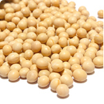 Soybean